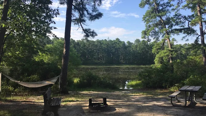 Bass River State Forest