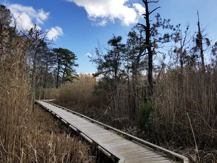 Beaver Dam Creek County Park