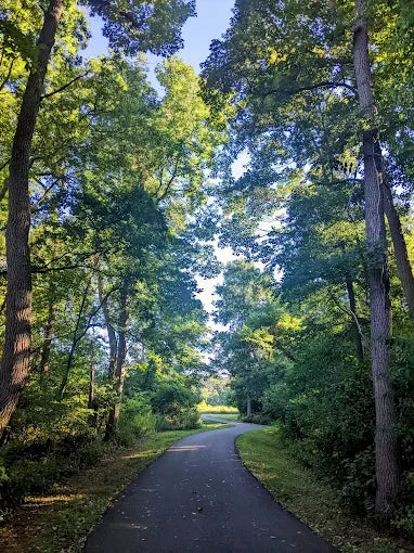 Dorbrook Recreation Area