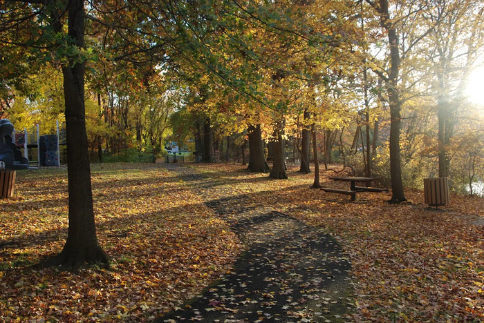 Etra Lake Park