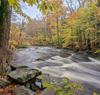 Hacklebarney State Park