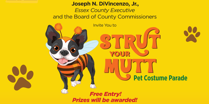 Strut Your Mutt: Grover Cleveland Park