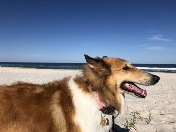 Island Beach State Park