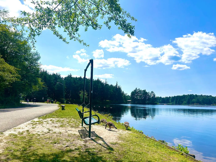 Lake Horicon Park