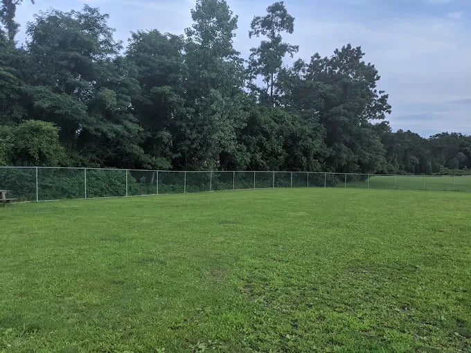 Liberty Park II