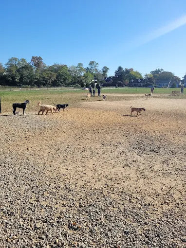 Orchard Dog Park