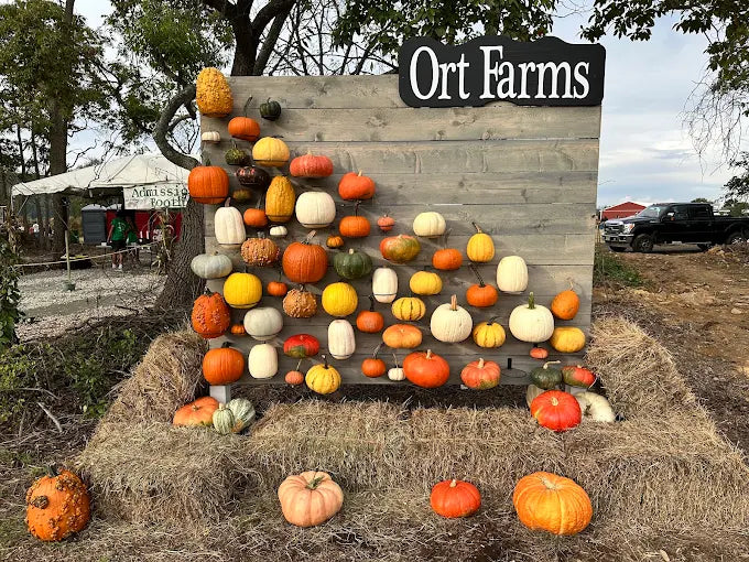 Ort Farms