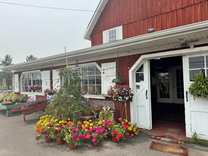 The Red Barn Farm