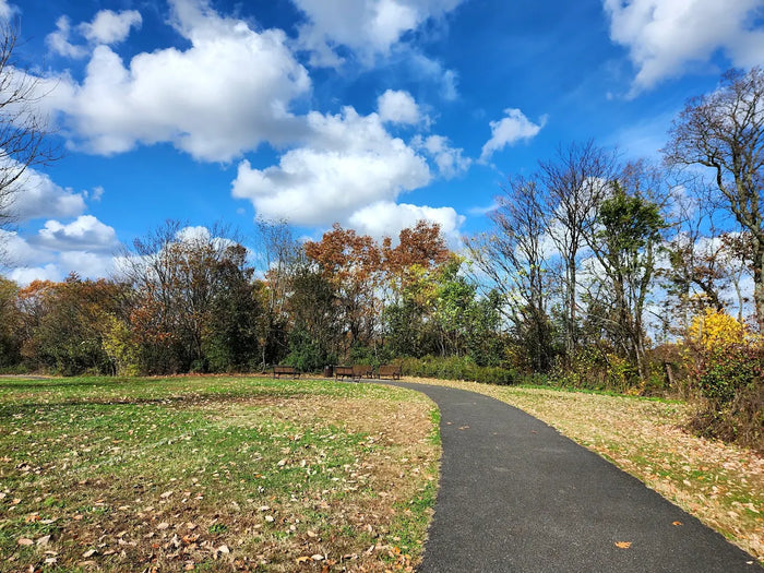 Timber Creek Park & Dog Park