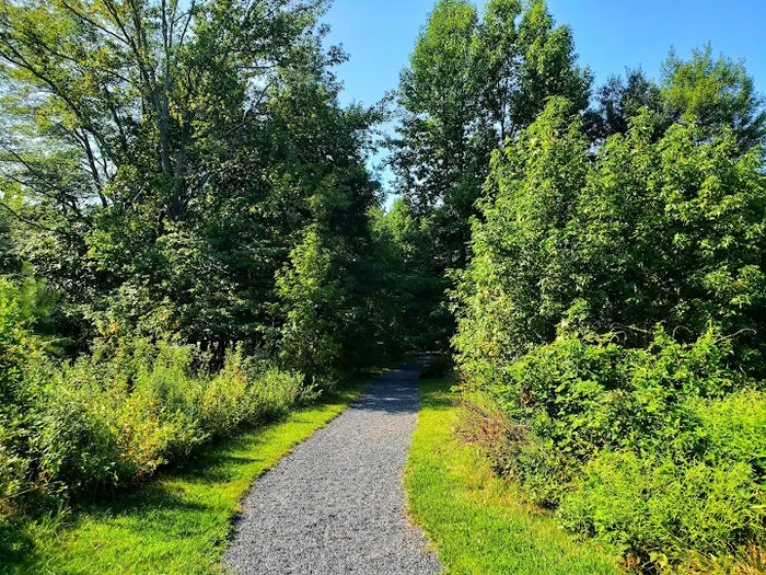 Gerry Tarantolo Park (aka Husky Brook Park)
