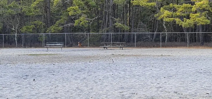 Robert J. Miller Air Park