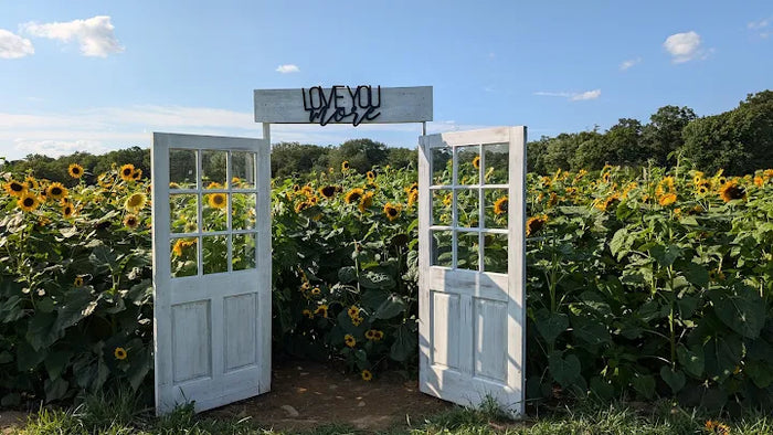 Stony Hill Farm 