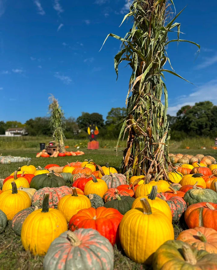 Conklin Farm U-Pick