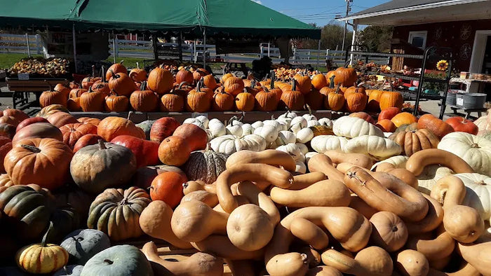 Ideal Farm & Garden Center