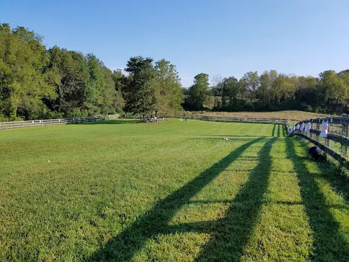 Vernon Dog Park