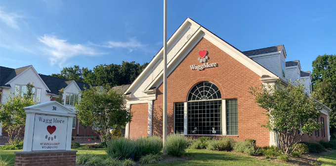 WaggMore Pet Boutique & Bakery