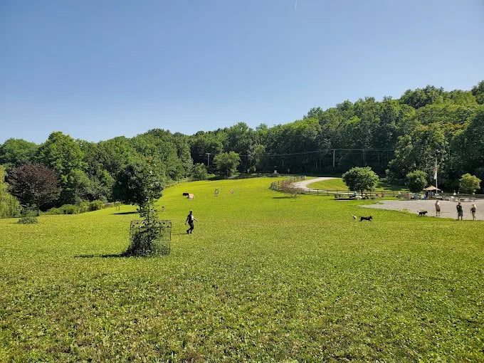 Wantage Dog Park