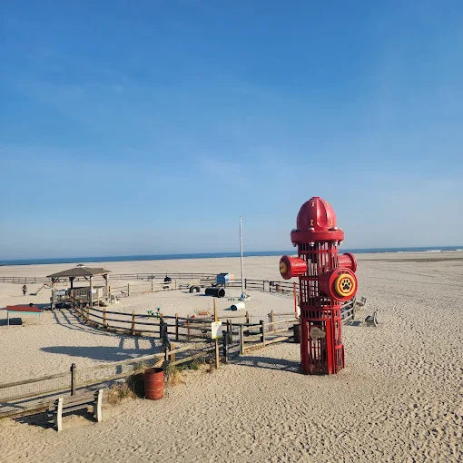Wildwood Dog Park & Beach